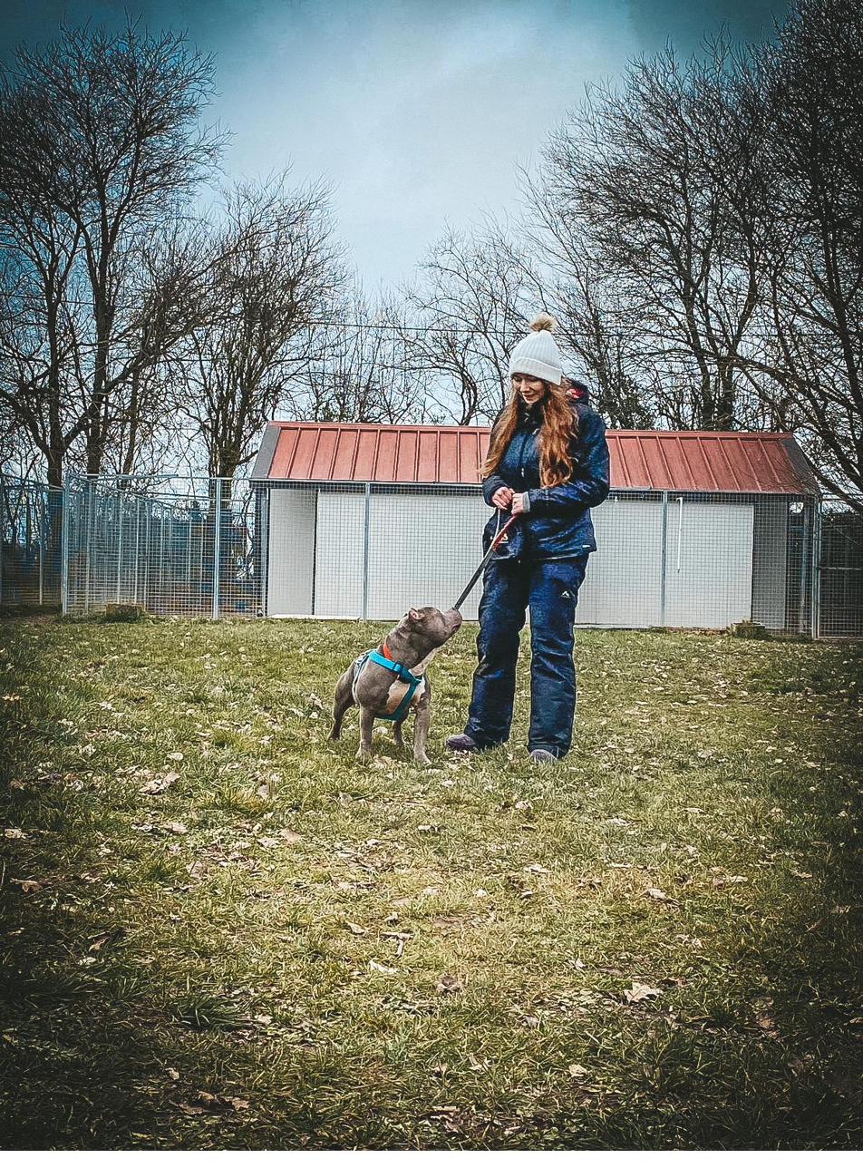 Éducatrice canine travaillant avec un chien en extérieur